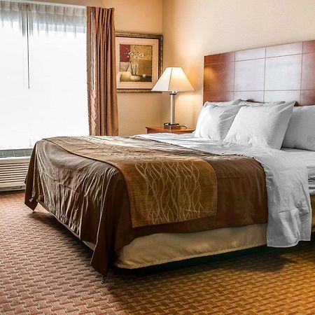 Quality Inn Near Interstate I94 New Buffalo Eksteriør billede